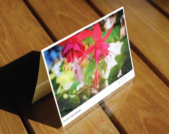 Notecard with photo, New Zealand, Dunedin