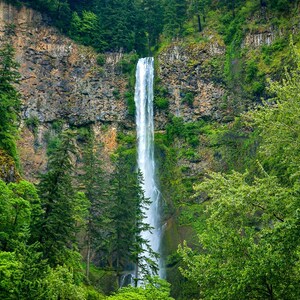 May include: A scenic landscape photograph of a tall waterfall cascading down a rocky cliff face. Lush green trees and foliage frame the waterfall, with a mix of evergreen and deciduous trees. The water is a bright white against the dark rock.