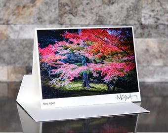 May include: A white card featuring a vibrant photograph of a tree with red and pink leaves, set against a backdrop of a stone wall. The card is signed "MGM" and has the text "Nara, Japan".