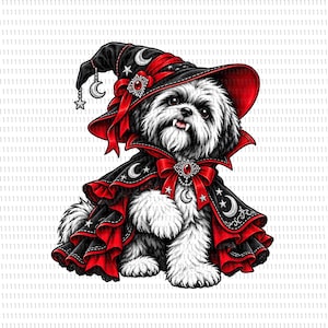 May include: A black and white dog wearing a black and red witch hat and a matching ruffled cape. The hat and cape feature silver moon and star patterns, red bows, and ornate silver brooches. The dog has visible fangs and fluffy fur.