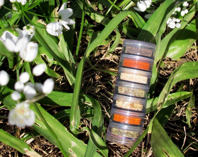 TRAVEL Spice Rack Organic Set of 7 Herbs Great for Gift or Camping, Rv