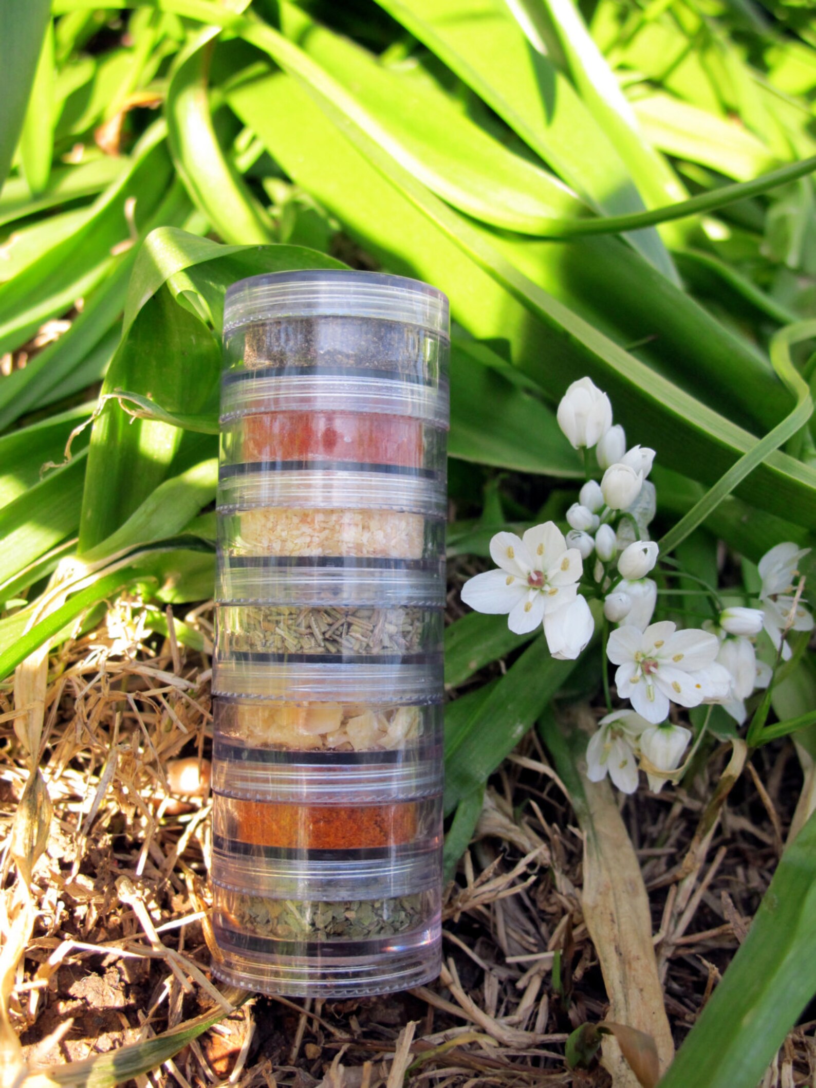 TRAVEL Spice Rack Organic Set of 7 Herbs NICE RACK Great for Etsy