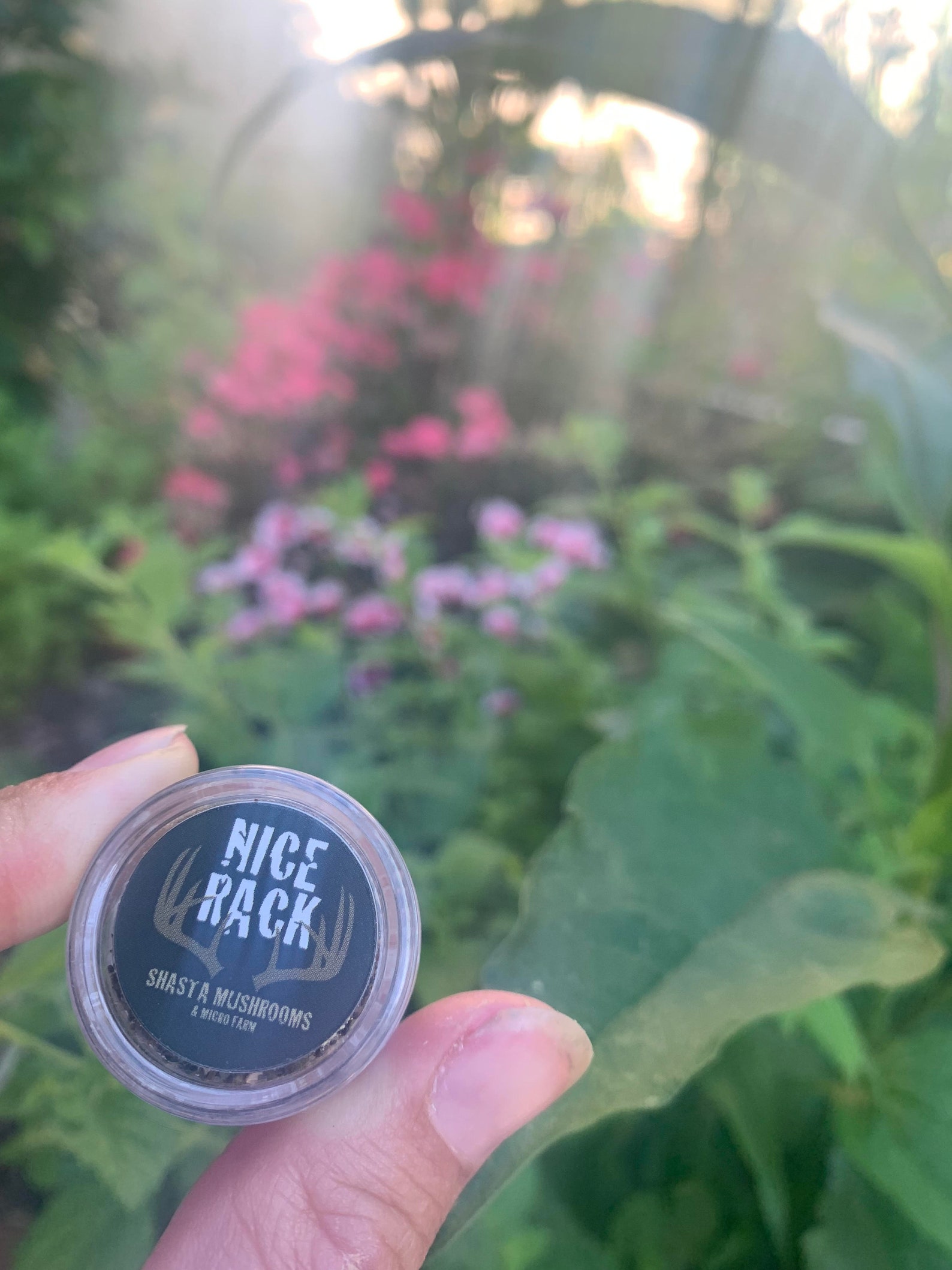 TRAVEL Spice Rack Organic Set of 7 Herbs NICE RACK Great for Etsy