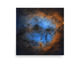 Elephant Trunk Nebula -  Hubble Palette - Poster