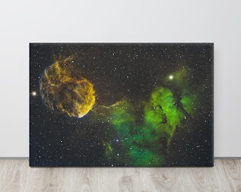 Jellyfish Nebula (24x36 Canva)