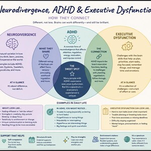Op de afbeelding: Een educatieve infographic getiteld Neurodivergence, ADHD & Executive Dysfunction met een Venn-diagram met drie overlappende cirkels in paars, groen en geel. Het legt verbanden, voorbeelden uit het dagelijks leven en ondersteuningsstrategieën uit.