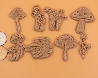 Mushies Mix - Dog Treats