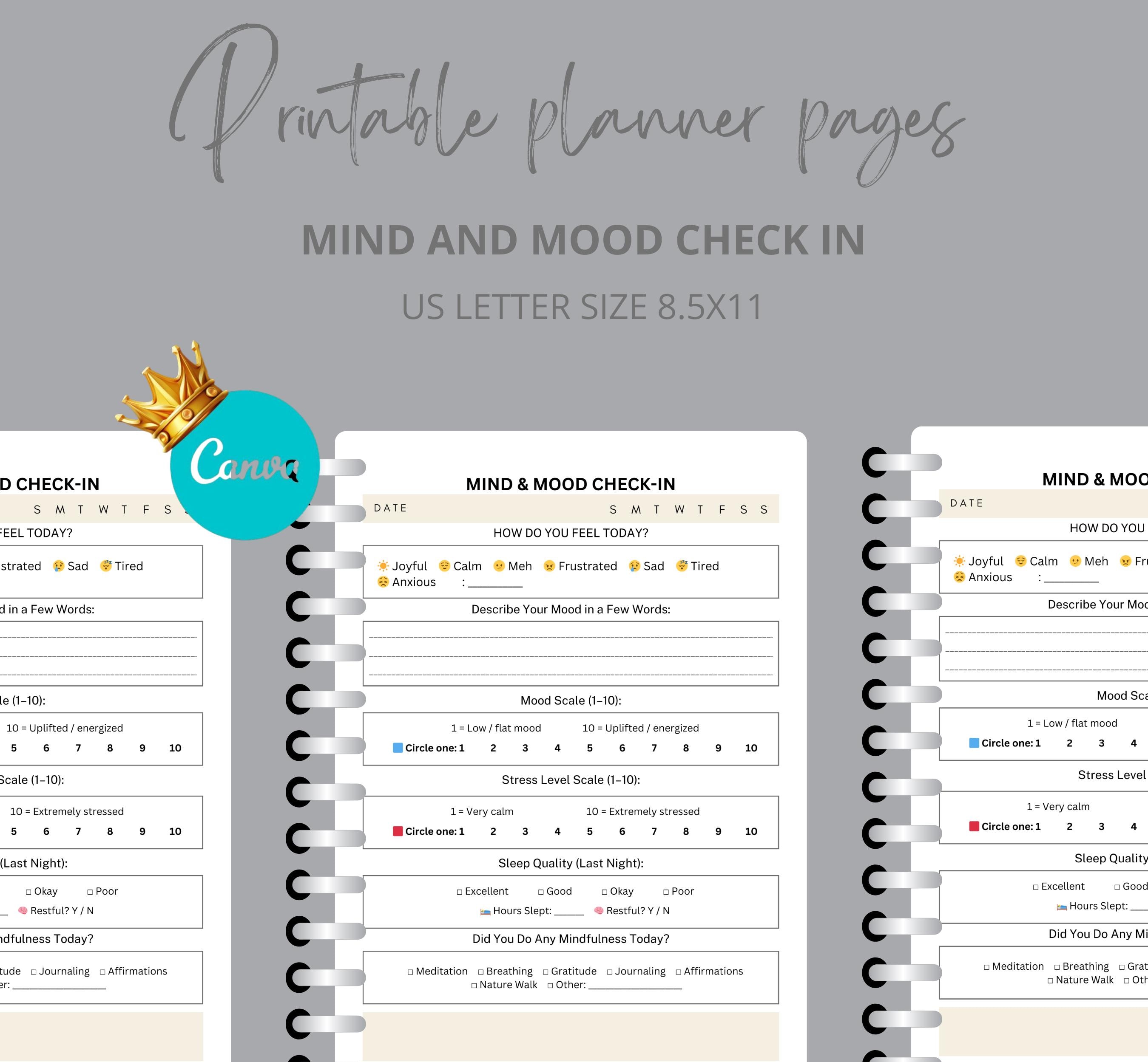 Emotional Check-in Worksheet: Mindfulness, Mood Tracker (PDF Download ...