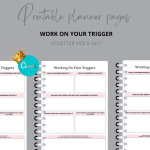 Trigger tracker, trigger processing, anxiety worksheet, self reflection journal page, therapy worksheet, PTSD tracker, editable template