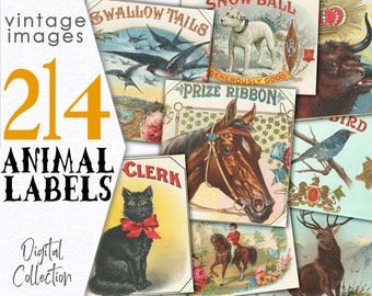 Imágenes vintage de cachorros digitales / Paquete de efímeros para tarjetas de animales / Collage imprimible para uso comercial / Tarjeta de papelería de dominio público / C113
