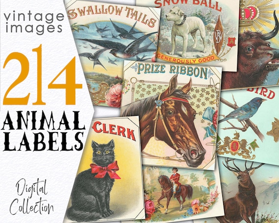 Digital Puppies Photo Vintage Images / Bundle Ephemera Animal Card / Commercial Use Printable Collage / Public Domain Stationary Card / C113