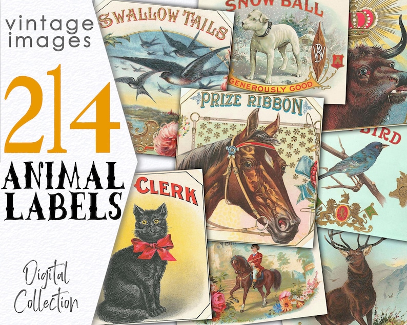 Digital Puppies Photo Vintage Images / Bundle Ephemera Animal Card / Commercial Use Printable Collage / Public Domain Stationary Card / C113 image 1