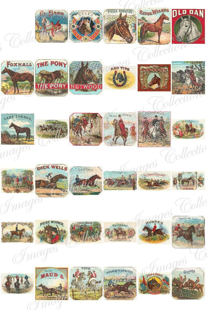 Digital Puppies Photo Vintage Images / Bundle Ephemera Animal Card / Commercial Use Printable Collage / Public Domain Stationary Card / C113 image 4
