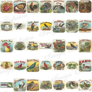 Digital Puppies Photo Vintage Images / Bundle Ephemera Animal Card / Commercial Use Printable Collage / Public Domain Stationary Card / C113 image 2