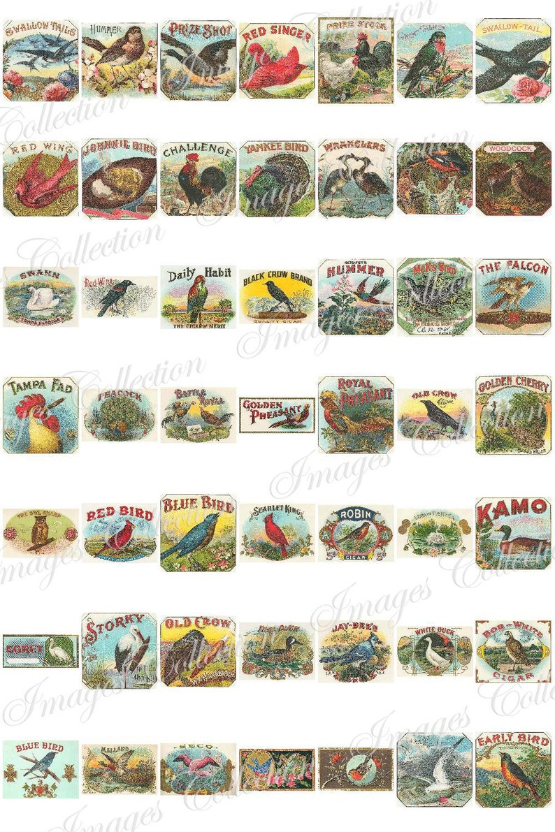 Digital Puppies Photo Vintage Images / Bundle Ephemera Animal Card / Commercial Use Printable Collage / Public Domain Stationary Card / C113 image 2