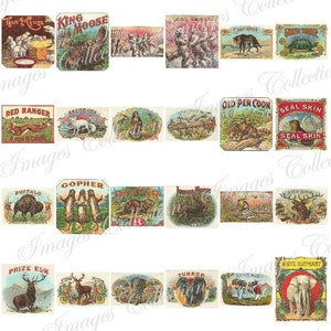 Digital Puppies Photo Vintage Images / Bundle Ephemera Animal Card / Commercial Use Printable Collage / Public Domain Stationary Card / C113 image 5