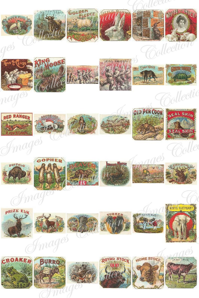 Digital Puppies Photo Vintage Images / Bundle Ephemera Animal Card / Commercial Use Printable Collage / Public Domain Stationary Card / C113 image 5