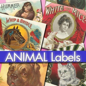 Digital Puppies Photo Vintage Images / Bundle Ephemera Animal Card / Commercial Use Printable Collage / Public Domain Stationary Card / C113 image 6
