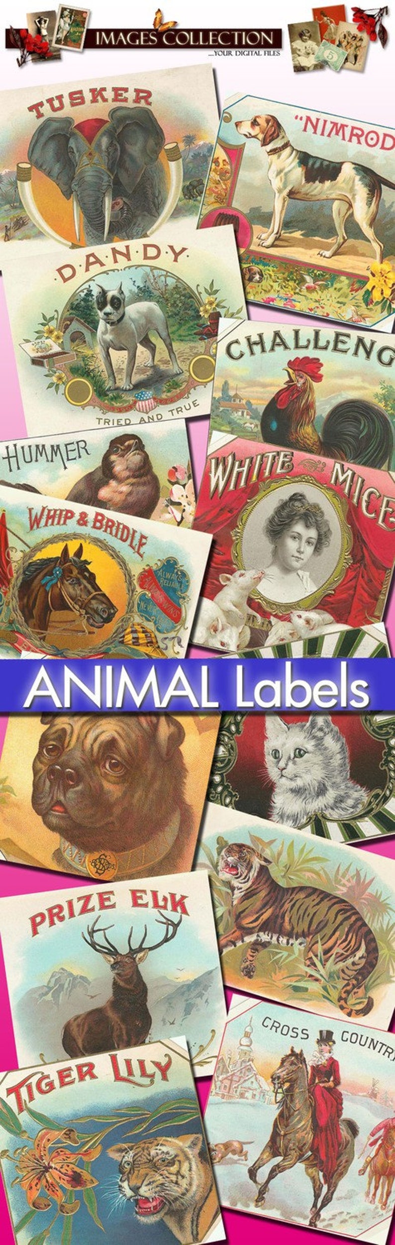 Digital Puppies Photo Vintage Images / Bundle Ephemera Animal Card / Commercial Use Printable Collage / Public Domain Stationary Card / C113 image 6