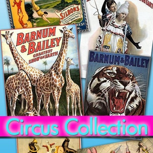 May include: A collection of vintage circus posters featuring images of animals, performers, and the text "The Barnum & Bailey Greatest Show on Earth", "Circus Collection", "Cirque D'Hiver", "Sells Brothers", "Bruin's That Dance, Skate, Walk Tight Ropes - Ride Bicycles", and "Rolling Bros. & Barnum & Bailey Combined Shows".