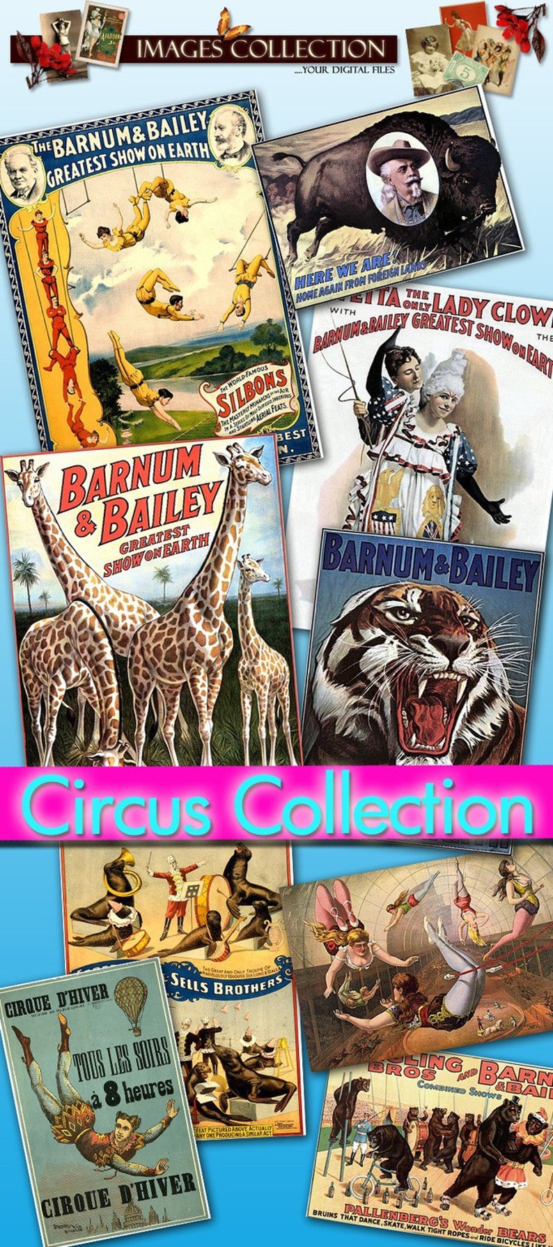May include: A collection of vintage circus posters featuring images of animals, performers, and the text "The Barnum & Bailey Greatest Show on Earth", "Circus Collection", "Cirque D'Hiver", "Sells Brothers", "Bruin's That Dance, Skate, Walk Tight Ropes - Ride Bicycles", and "Rolling Bros. & Barnum & Bailey Combined Shows".