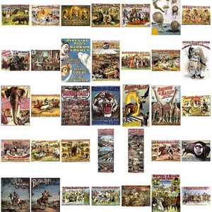 May include: A collection of vintage circus posters featuring various performers, animals, and events. The posters are colorful and feature bold lettering and imagery. Some of the posters advertise Ringling Bros. and Barnum & Bailey Circus, Buffalo Bill's Wild West, and other popular circuses of the early 20th century.
