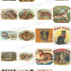 Digital Puppies Photo Vintage Images / Bundle Ephemera Animal Card / Commercial Use Printable Collage / Public Domain Stationary Card / C113 image 3