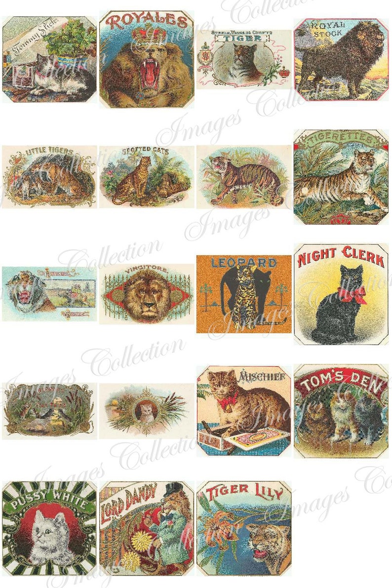 Digital Puppies Photo Vintage Images / Bundle Ephemera Animal Card / Commercial Use Printable Collage / Public Domain Stationary Card / C113 image 3