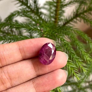 Puede incluir: Una gema de rubí facetada de forma ovalada. El rubí es de un color rojo intenso y rico con múltiples facetas que reflejan la luz. La gema se sostiene en una mano, con un fondo de follaje verde.