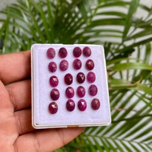 Pode incluir: Uma coleção de rubis vermelhos escuros de corte oval, exibidos em uma bandeja de plástico branco. As pedras preciosas são dispostas em fileiras organizadas, mostrando suas facetas polidas. O fundo apresenta folhagem verde exuberante.