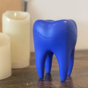 Blue Tooth Speaker: Novelty Wireless Speaker - 8 Hour Playtime