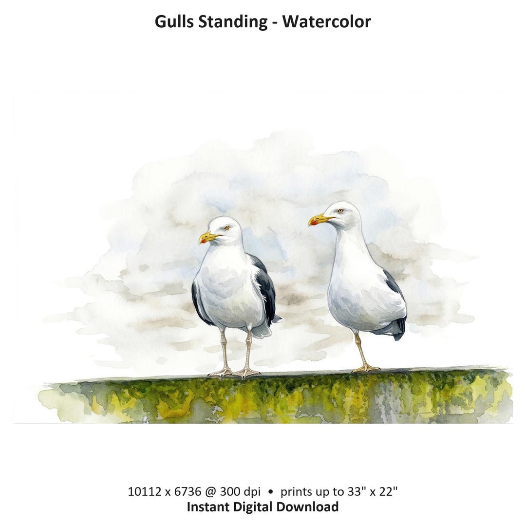 Two Seagulls Watercolor Art Print, Coastal Bird Wall Art (digital ...