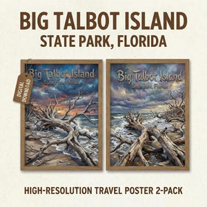 Peut inclure: Deux affiches de voyage encadrées représentant une scène côtière avec du bois flotté et des vagues sous un ciel dramatique. Les affiches sont intitulées "Big Talbot Island State Park, Florida" et sont un téléchargement numérique.
