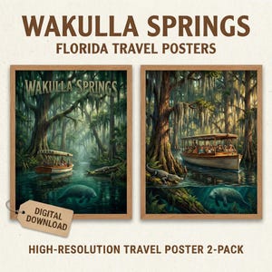 Wakulla Springs State Park Art (2 Variations) | World's Largest Spring Florida Travel Poster | Digital Download