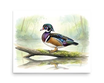 Wood Duck Watercolor Print, Duck Waterfowl Art, Museum-Quality Matte Bird and Scenery Poster