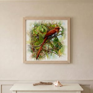 May include: A framed watercolor painting of a bird with long, reddish-brown tail feathers perched on a branch. The bird is set against a backdrop of green leaves and branches. The frame is a light wood color.