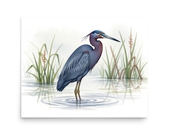 Little Blue Heron Watercolor Print, Egretta caerulea Wading Bird Art, Museum-Quality Matte Poster