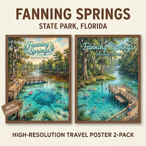 May include: Two framed travel posters of Fanning Springs State Park, Florida. The posters depict a clear, turquoise spring with people swimming and floating. Wooden docks and lush trees surround the water. The text "FANNING SPRINGS STATE PARK, FLORIDA" is at the top.