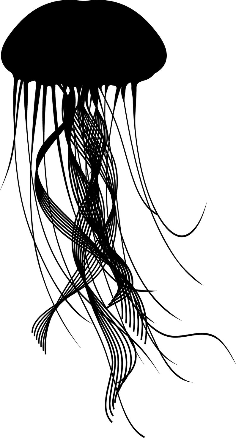 Jelly Fish Wall Decal Jellyfish Art Tentacle Design Etsy