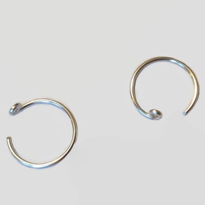May include: Two silver nose rings with a small ball at the end of each ring.