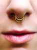 Double Septum Ring - Faux Septum Ring - Fake Double Septum - Custom Nose Ring - Metal Nose Ring - Fake Piercings - Punk Nose Rings 