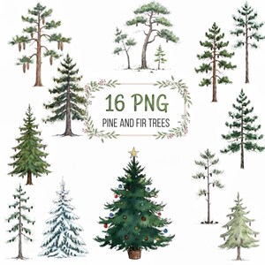 May include: Watercolor illustrations of various pine and fir trees, including a decorated Christmas tree with ornaments and a star topper. The image includes the text "16 PNG PINE AND FIR TREES" in a decorative frame.