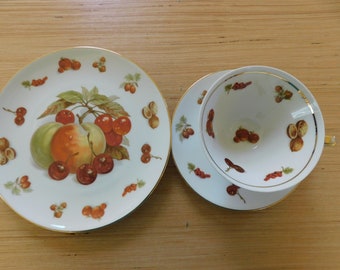 Vintage WINTERLING Rosiom Bavaria Trio, Bone China Teacup and Luncheon Plate, FRUITS