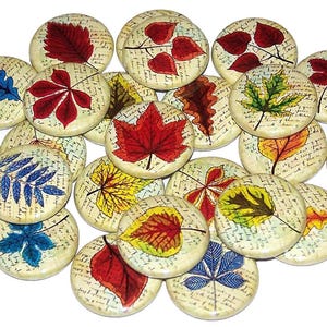 May include: A collection of round buttons featuring various colorful leaf illustrations set against a background of vintage-style cursive script. The leaves are depicted in shades of red, yellow, green, and blue, each showing distinct vein patterns.