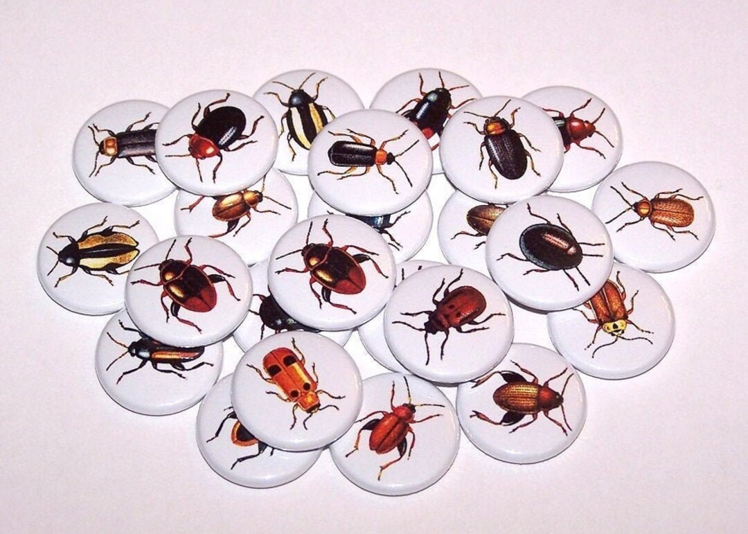 Bugs Beetles Set of 10 Buttons 1 Inch Pinback Buttons 1