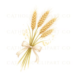 Catholic anointing oil vial watercolor clipart sacrament | Frasco de aceite de unción católico en acuarela sacramental