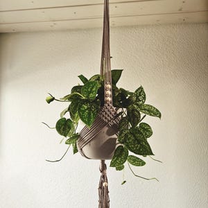 Könnte beinhalten: Ein hängender Makramee-Pflanzenhalter mit einer grünen Hängepflanze. Der Blumentopf ist hellgrau und wird von einer gewebten braunen Makramee-Kordel gehalten. Die Pflanze hat grüne Blätter mit weißen Sprenkeln.