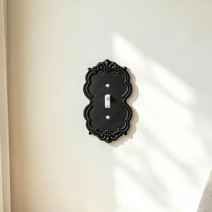 May include: A black light switch plate with an ornate, scalloped edge and decorative relief detailing. The rectangular plate features a central vertical toggle switch and two small silver screws positioned above and below the switch mechanism.