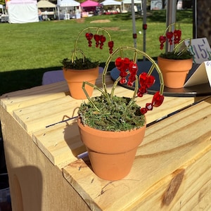 May include: A display of handmade decorative items at an outdoor market. Small terracotta pots hold moss and wire sculptures with red heart-shaped beads. Other hanging flower pots are visible in the background.