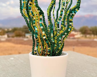 Planta de serpiente con cuentas